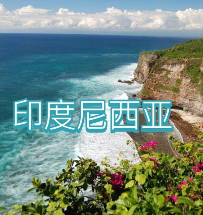 国际电商(印尼)产业博览会pg电子平台2025中国(图3) 国际电商(印尼)产业博览会pg电子平台2025中国(图3)