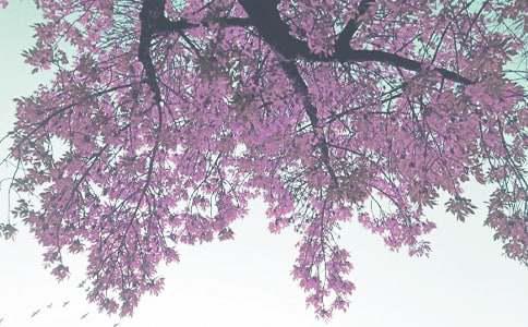 季自驾游好去处推荐电子pg游戏安徽秋